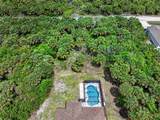 831 Owl Street - Photo 4