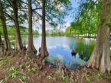 2813 Rolling Broak Drive - Photo 4