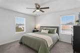 2082 Ficus Street - Photo 12