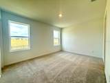 874 Lynx Street - Photo 12