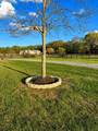 5440 31ST Terrace - Photo 45