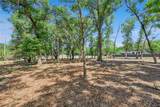 3932 White Heron Drive - Photo 15