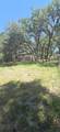 4322 Casaurina Road - Photo 20