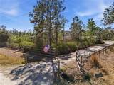 6844 Chad Jason Road - Photo 52