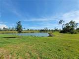 11177 Pinot Drive - Photo 39