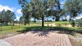 34037 Fortunado Street - Photo 46