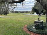 25846 Feather Ridge Lane - Photo 42