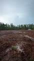  Fisher Way Track - Photo 3