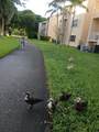 15300 106TH Terrace - Photo 28