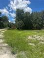 10828 Freddy Street - Photo 10