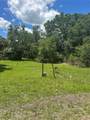 10828 Freddy Street - Photo 14