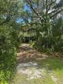 10828 Freddy Street - Photo 15