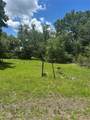 10828 Freddy Street - Photo 3