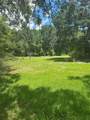 10828 Freddy Street - Photo 5