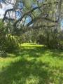 10828 Freddy Street - Photo 6