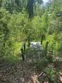 10828 Freddy Street - Photo 7