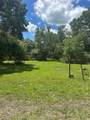 10828 Freddy Street - Photo 8