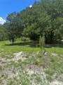 10828 Freddy Street - Photo 9