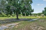 3830 Griffin View Drive - Photo 79