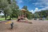 2924 Majestic Isle Drive - Photo 59