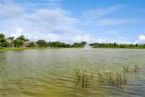 1668 Scarlet Oak Loop - Photo 44