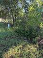  Alaska Avenue - Photo 3