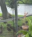 2848 Aloma Lake Run - Photo 32