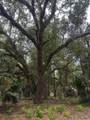 Lot 1 127TH Street - Photo 5