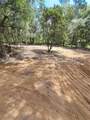 5601 71ST Street - Photo 6