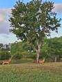 1756 Branchwater Trail - Photo 74