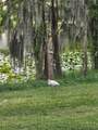 1756 Branchwater Trail - Photo 76