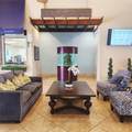 8935 Cuban Palm Road - Photo 24