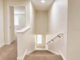 13507 Tea Rose Way - Photo 38
