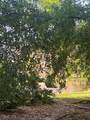 12539 Floridays Resort Drive - Photo 21