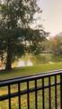 12539 Floridays Resort Drive - Photo 3