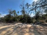 6291 Drake Avenue - Photo 1