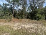 7925 Ibsen Drive - Photo 2