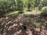 101 Joel Avenue - Photo 3
