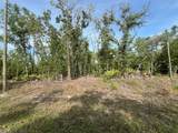 1321 Delores Drive - Photo 1