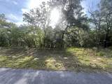 1321 Delores Drive - Photo 3