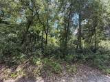 313 Calhoun Avenue - Photo 1