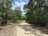 109 Pinellas Street - Photo 4