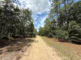 109 Pinellas Street - Photo 7