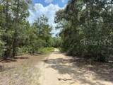 109 Pinellas Street - Photo 8