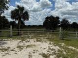 19374 302ND Street - Photo 40