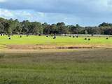  74TH LANE Road - Photo 31