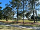 806 Camino Del Rey Drive - Photo 3