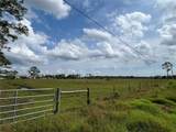 39390 Cook Brown Road - Photo 3