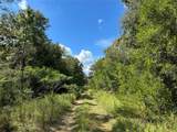 000 156TH Avenue - Photo 5