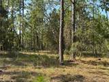 00 Neptune Boulevard - Photo 2
